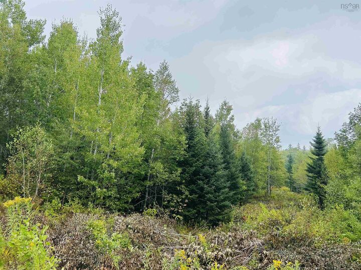 Property Photo:  Lot Alpena Road  NS B0S 1M0 