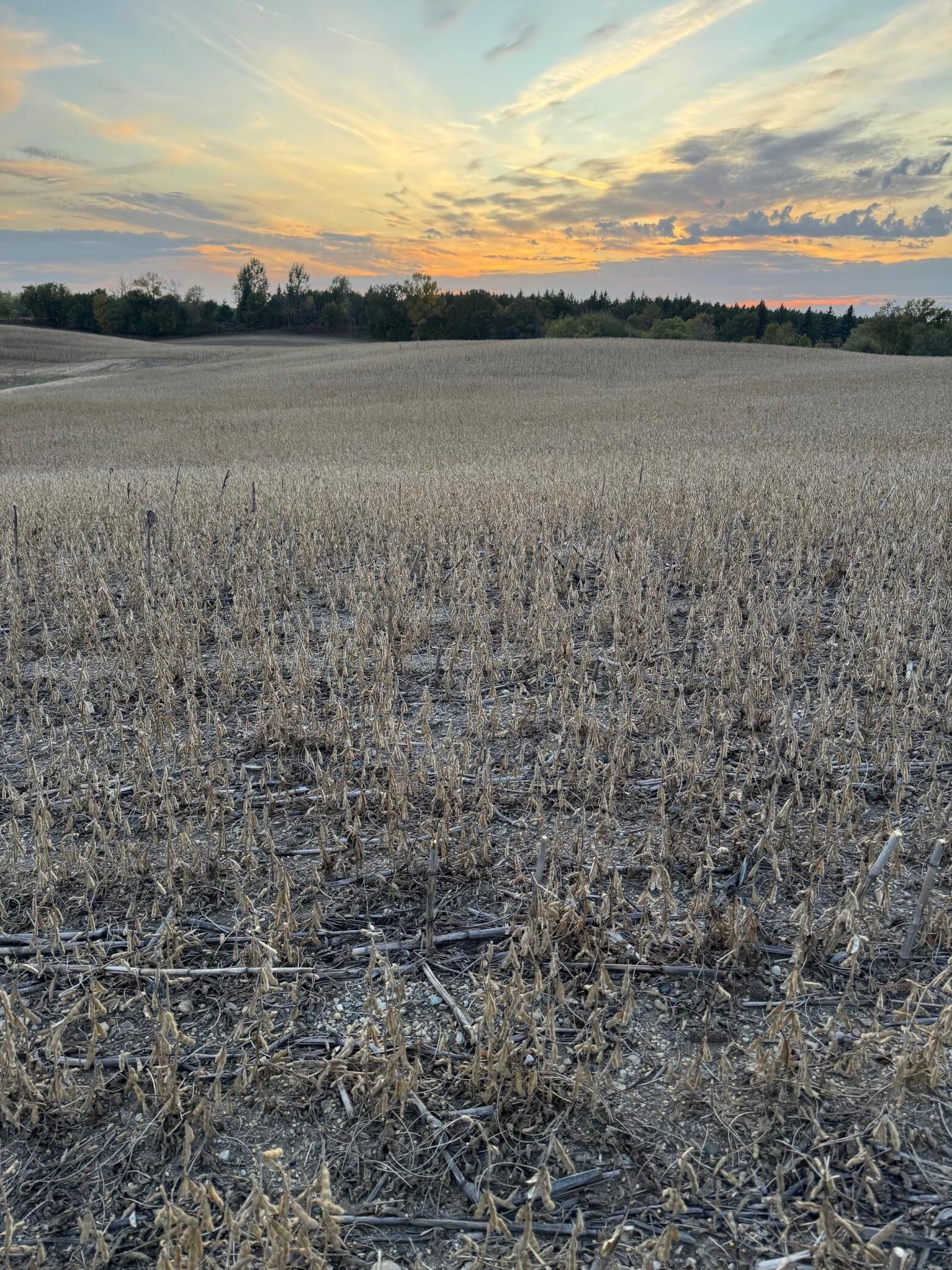 Property Photo:  Tbd Placid Drive  MN 56528 