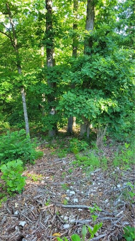 Property Photo:  Wolverton Lane  AR 72714 