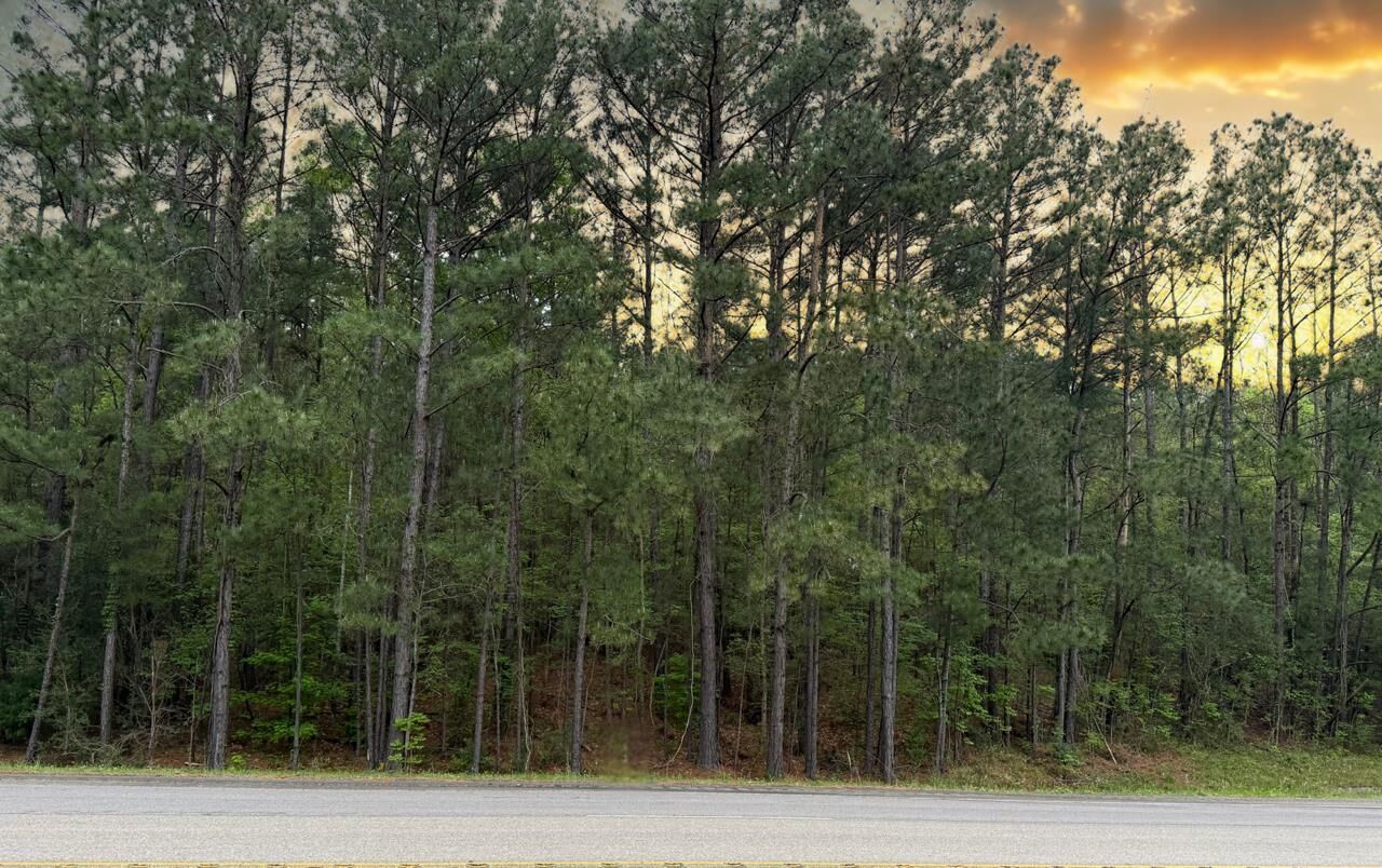 Property Photo: 000 Fm 92 TX 75979