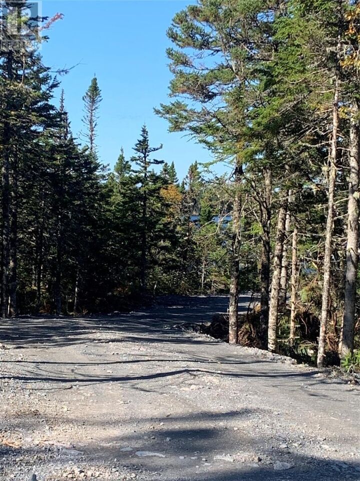 Property Photo:  Lot 14 Halleran Trail  NL A0B 1G0 