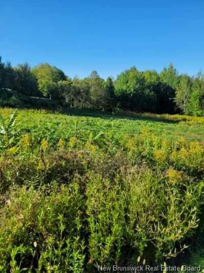 89-38 Parkhurst Drive  Grafton NB E7N 1N6 photo