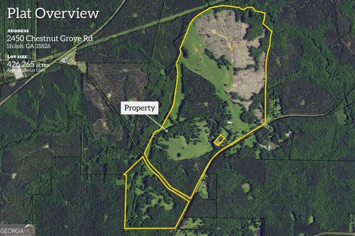 Property Photo: 2450 Chestnut Grove Road GA 31826