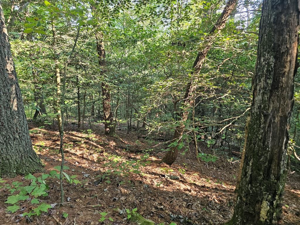 Property Photo:  0 Bates Drive  GA 30540 