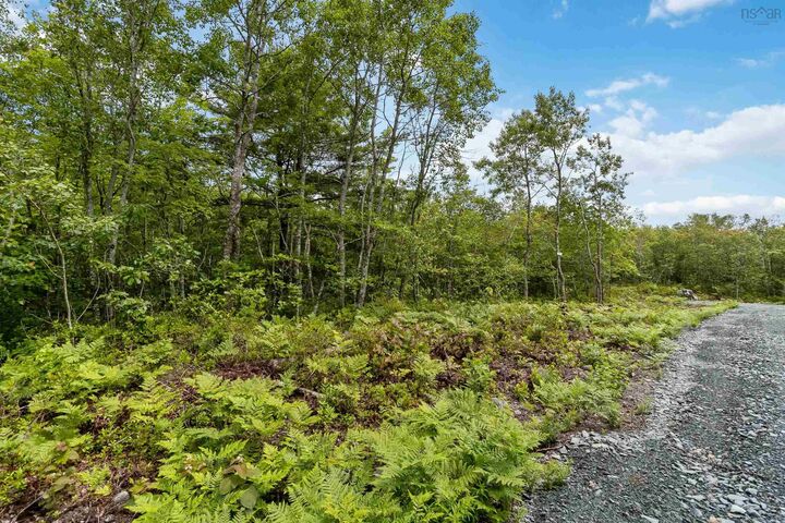 Property Photo:  Lot 7 Maple Ridge Drive  NS B0T 1K0 