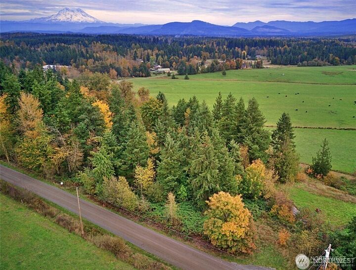 Property Photo: 19441 Cougar Mountain Airport Road SE WA 98597