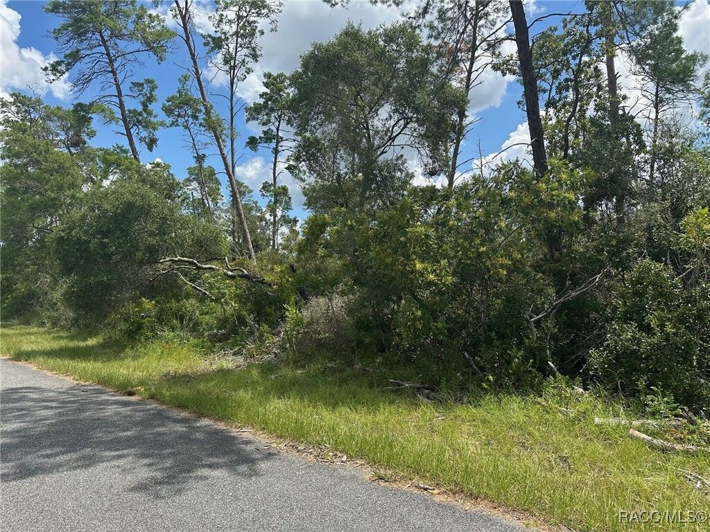 Property Photo:  8191 N Feather Avenue  FL 34433 