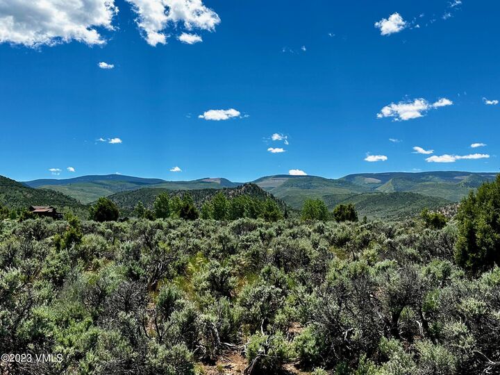 144 Mount Jackson Court  Eagle CO 81631 photo