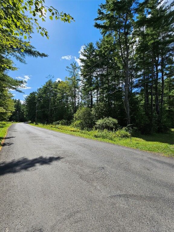 Property Photo: 209 Mount Pleasant Road NY 13733