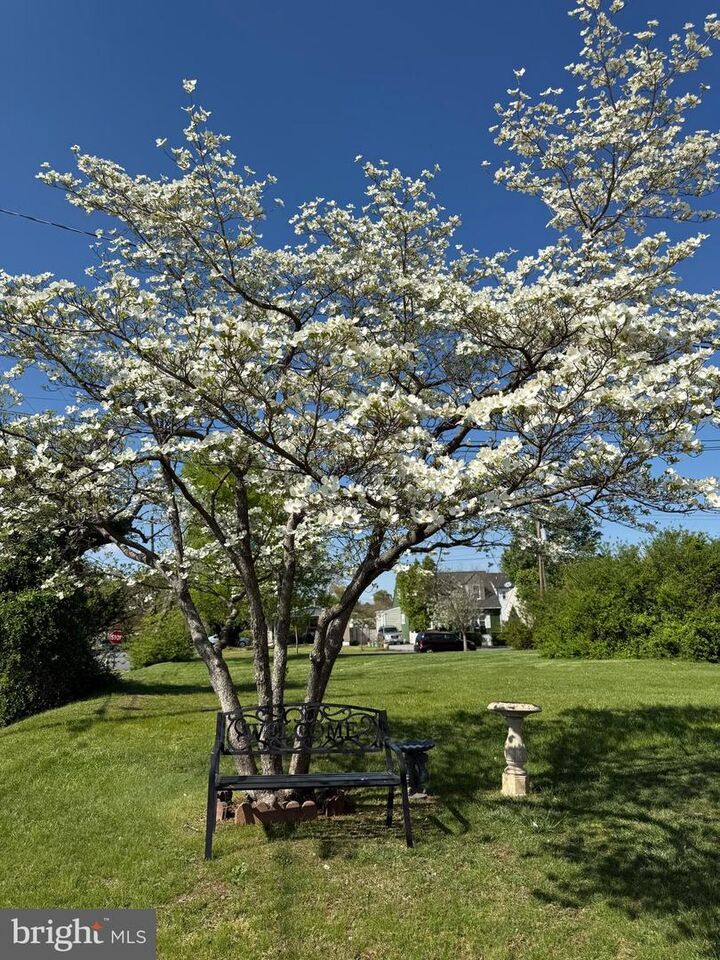 Property Photo: 1306 Cardwell Street VA 22401