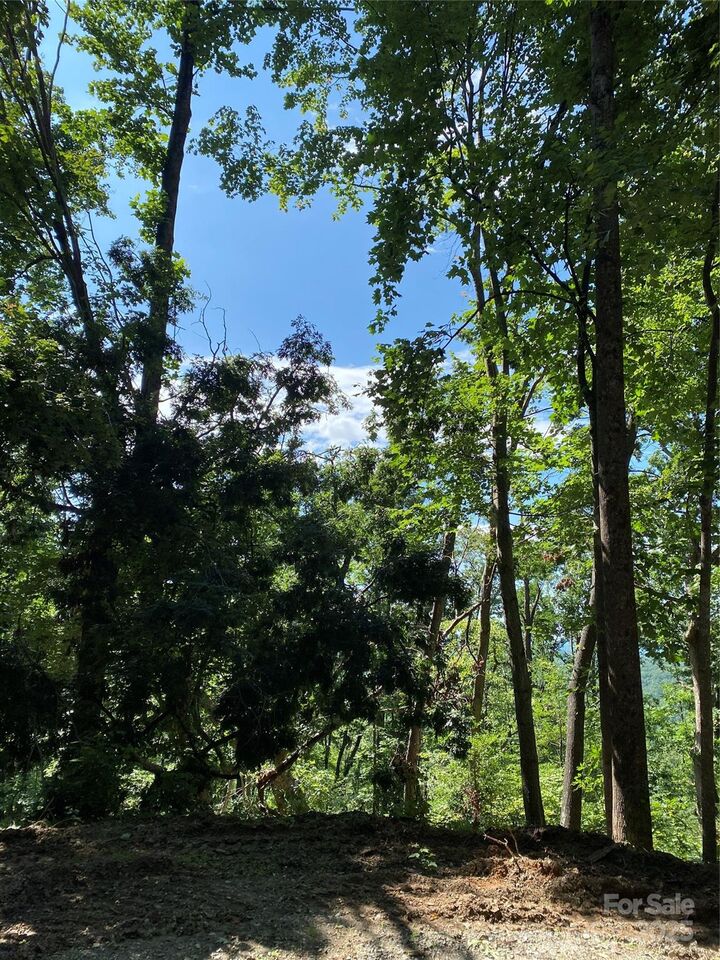0 Winesap Boulevard 81  Lake Lure NC 28746 photo