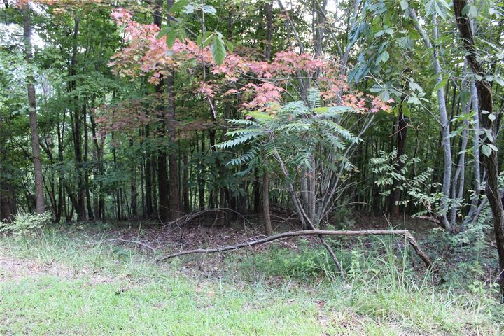 Property Photo:  0 Azule Ridge Drive  NC 28018 