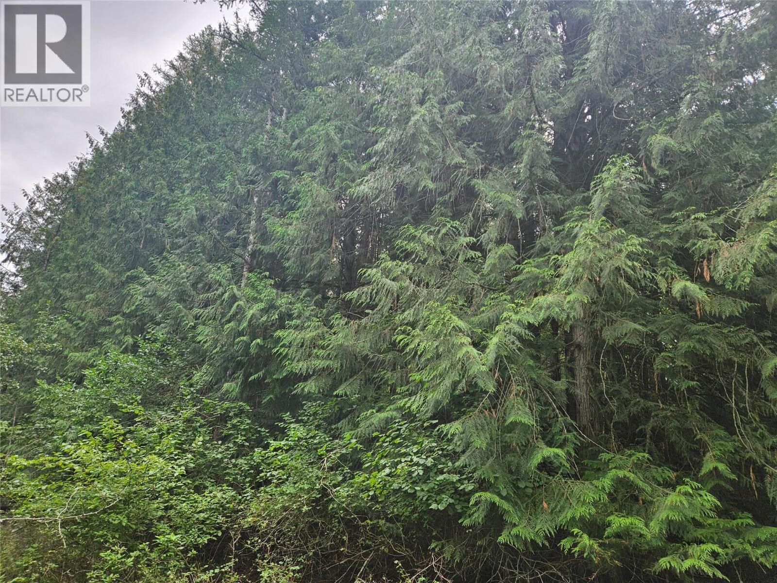 Property Photo:  588 Hagey Road  BC V0B 1K0 