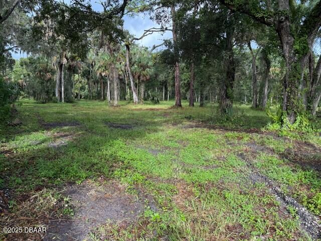 Photo de la propriété: 0 Tionia Road FL 32168