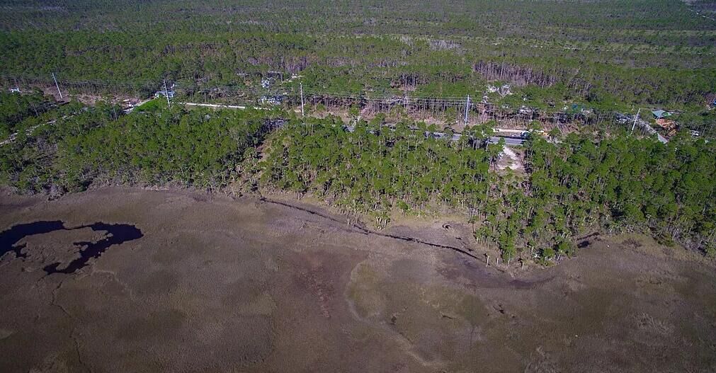 Property Photo:  Lot 4 SR 30-A  FL 32456 