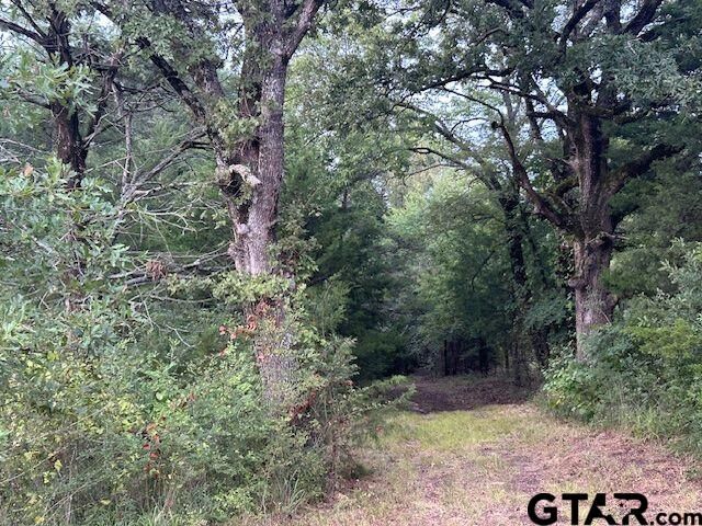 Property Photo:  Tbd W Hwy 80  TX 75773 