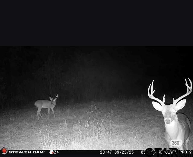 Property Photo:  Tbd W Hwy 80  TX 75773 
