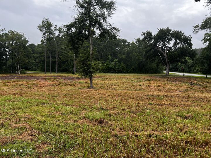 Property Photo: Sand Pine Cove MS 39553