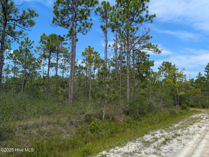 Property Photo:  800 Green Lawn &Amp566/567 Holiday Road  NC 28461 