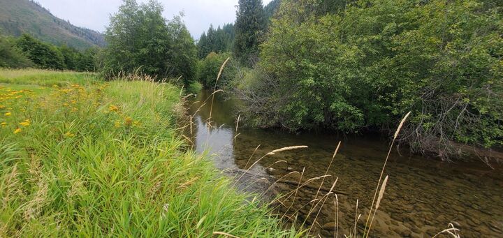 Property Photo: 3159 Heather Lane WA 99114