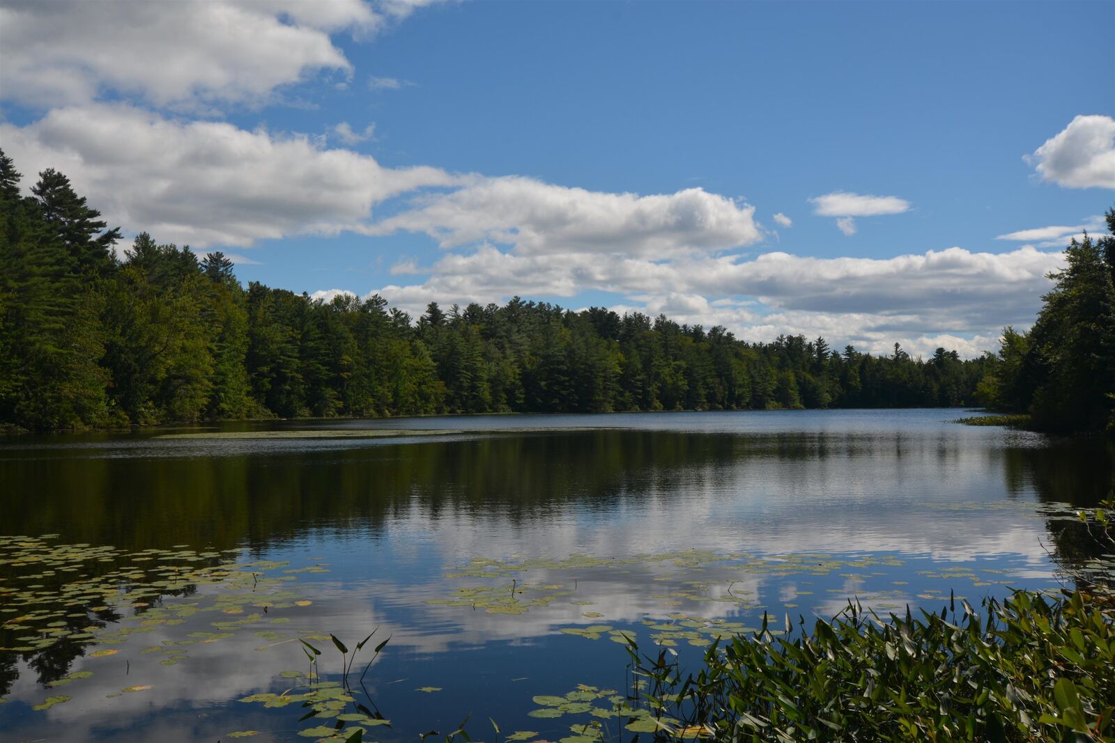 Property Photo: 13 Forest Road NH 03753