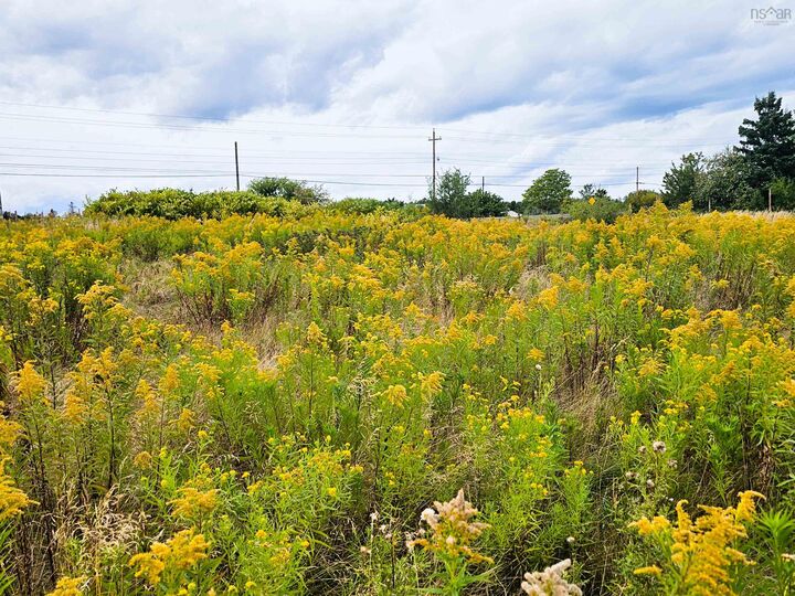 Photo de la propriété: 4614 Highway 2 NS B0M 1B0