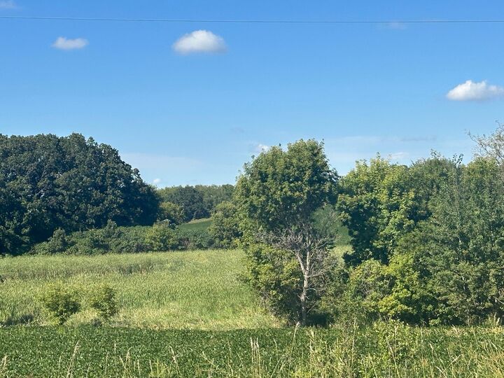 Property Photo:  Xxxxx County Hwy 12  MN 56324 