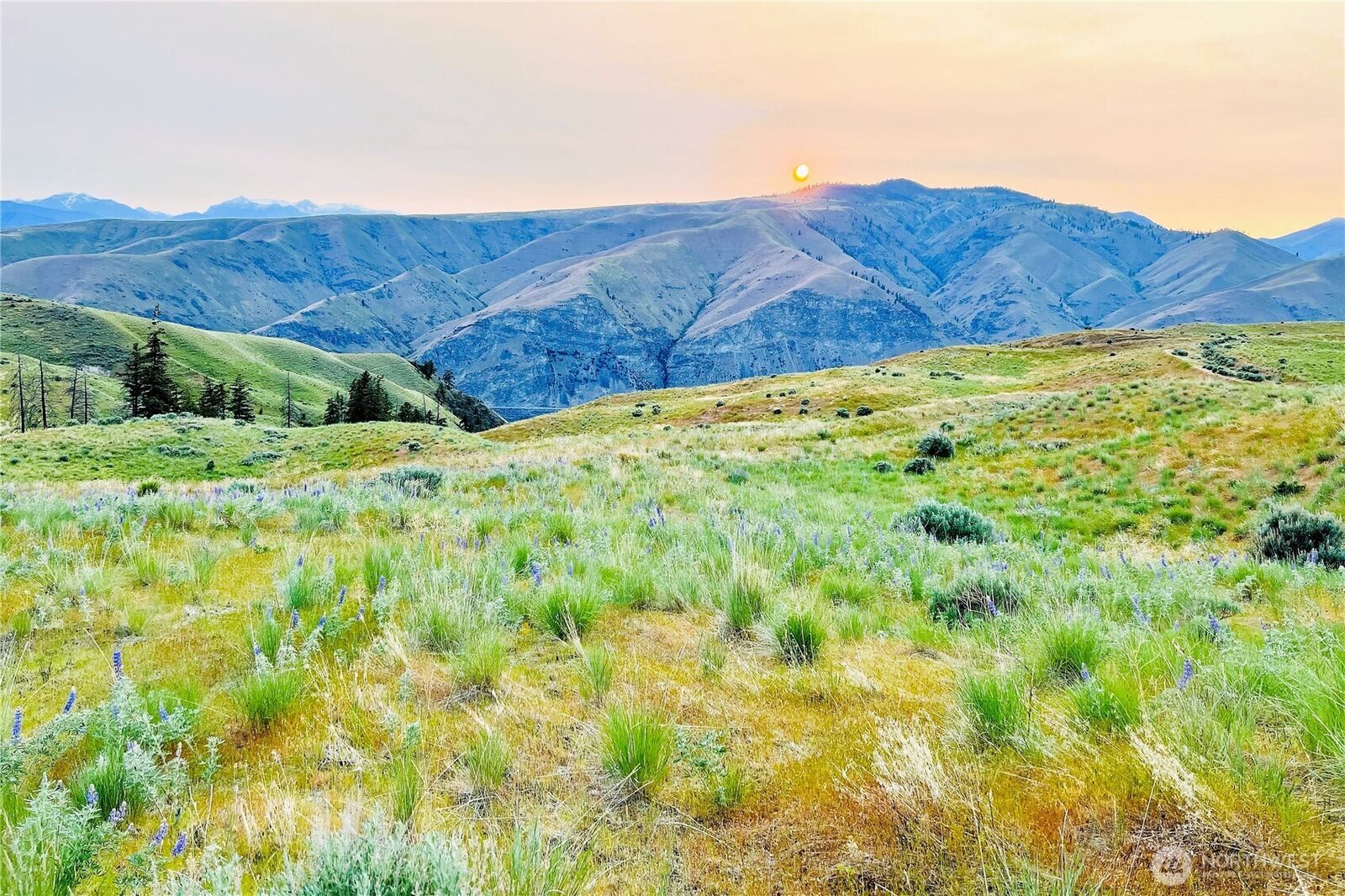 Property Photo: 8 Blue Grade Road WA 98802