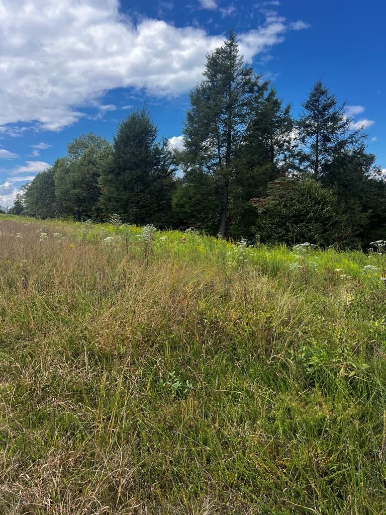 Property Photo: 318 River Ridge Lane WV 26679