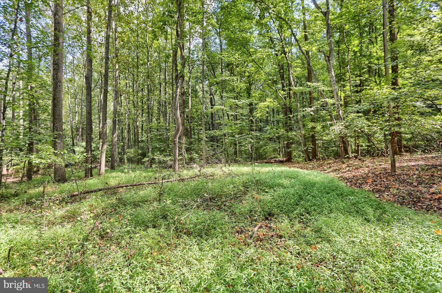 Property Photo:  Lot Moores Mountain Road  PA 17339 