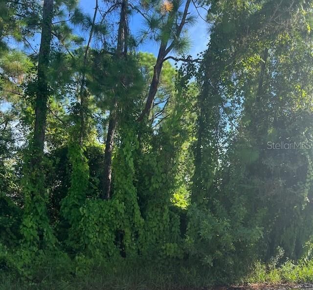 Property Photo:  Gancedo Avenue  FL 34291 