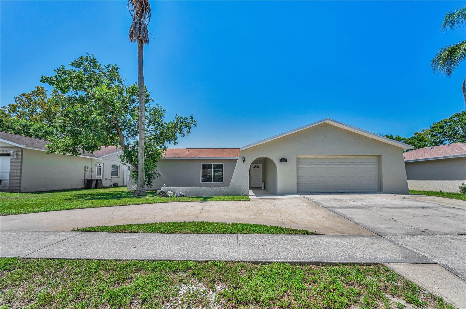 Property Photo:  11121 Peppertree Lane  FL 34668 