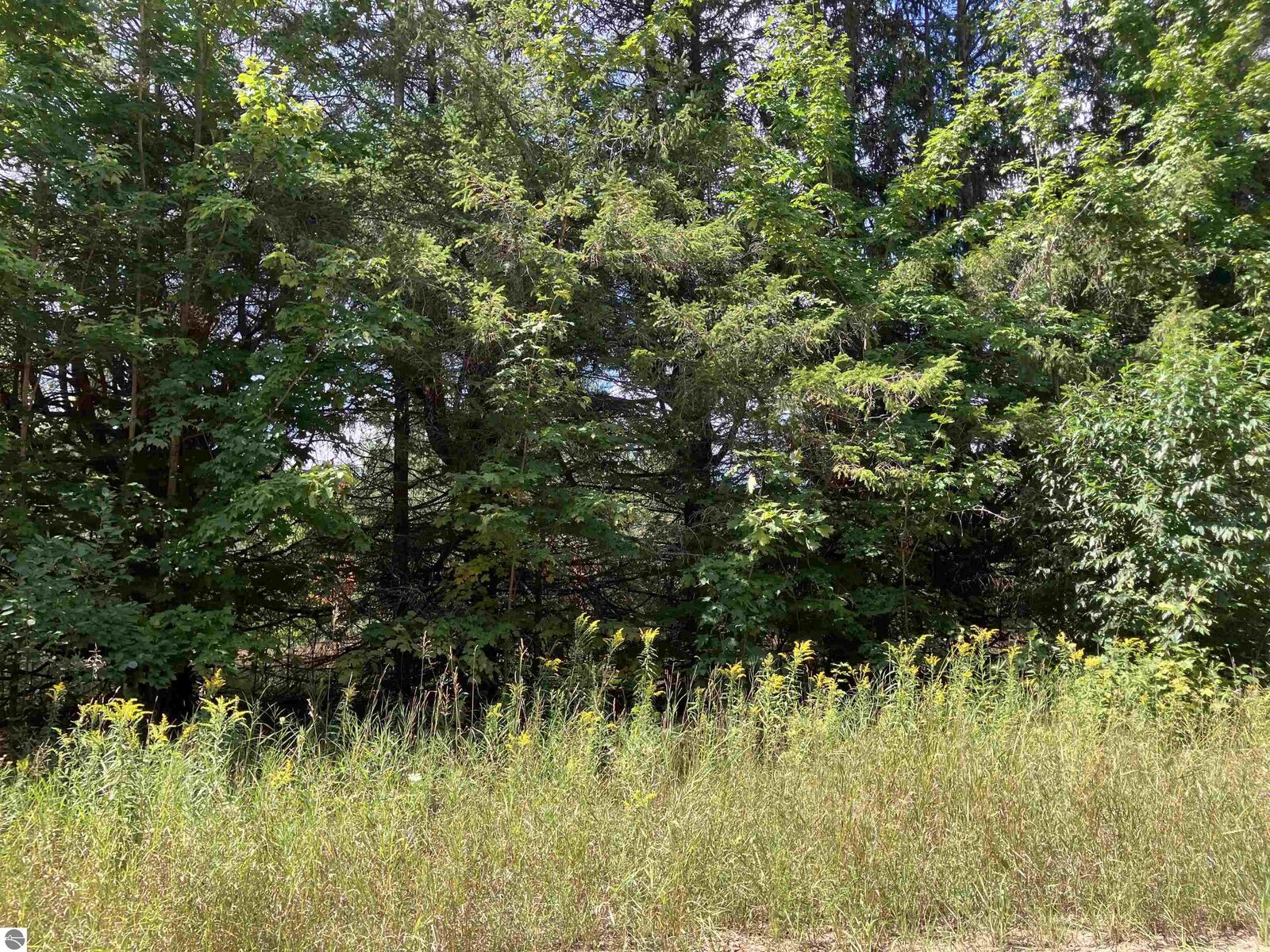 Property Photo: 180 Flowing Well Road MI 49646