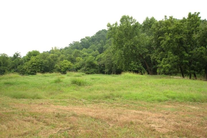 10.75 Acres Younkers Lane  Noel MO 64854 photo