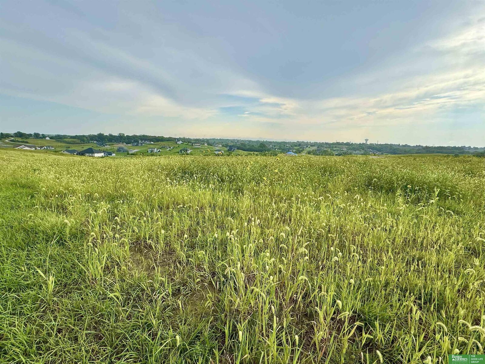 Property Photo:  Tbd Lot 41 Street  NE 68028 