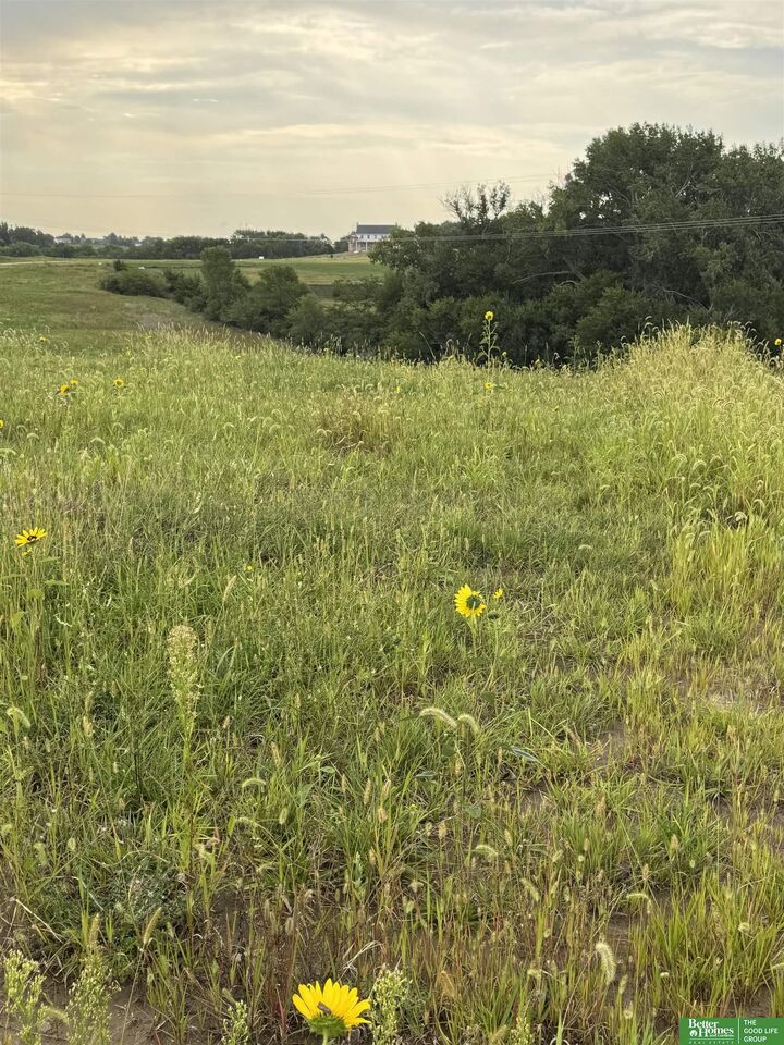 Property Photo:  22653 Quarry Circle  NE 68028 