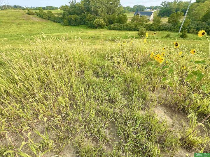 Property Photo:  22653 Quarry Circle  NE 68028 
