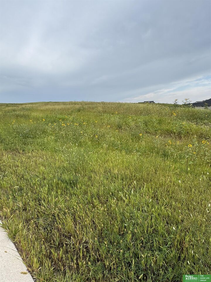 Property Photo: Tbd Lot 45 Street NE 68028