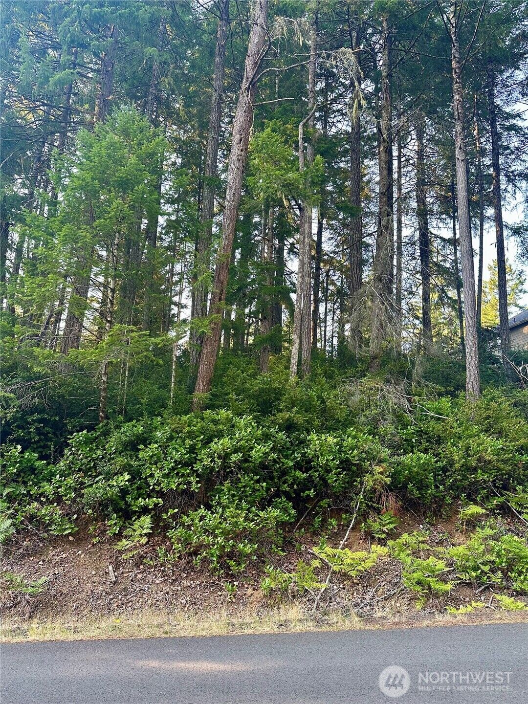 Property Photo: 700 E Vine Maple Lane WA 98592