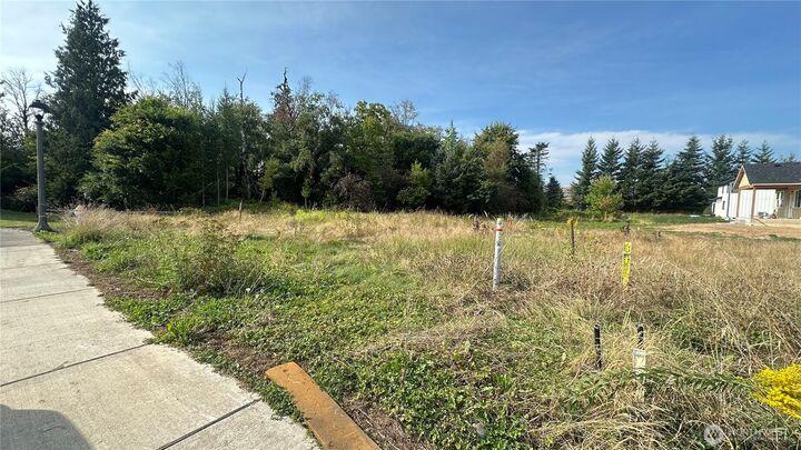 Property Photo: 215 Allison Road WA 98276