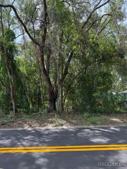 Property Photo:  403 Violet Lane  FL 34452 