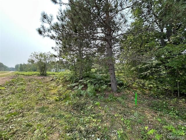 Property Photo:  6658 Brookfield Court  MI 49730 