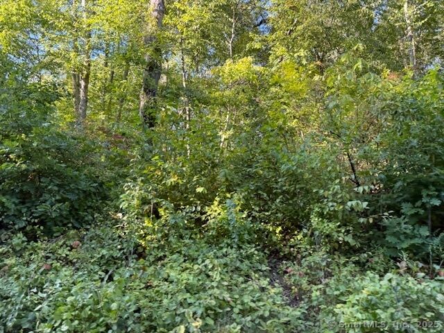 Property Photo: 183 Second Hill Road CT 06776