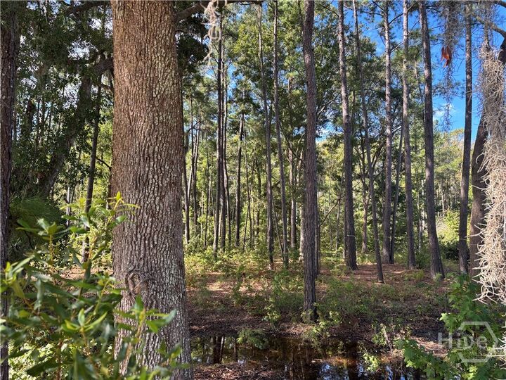 Property Photo:  183 Wood Haven Lane  GA 31322 