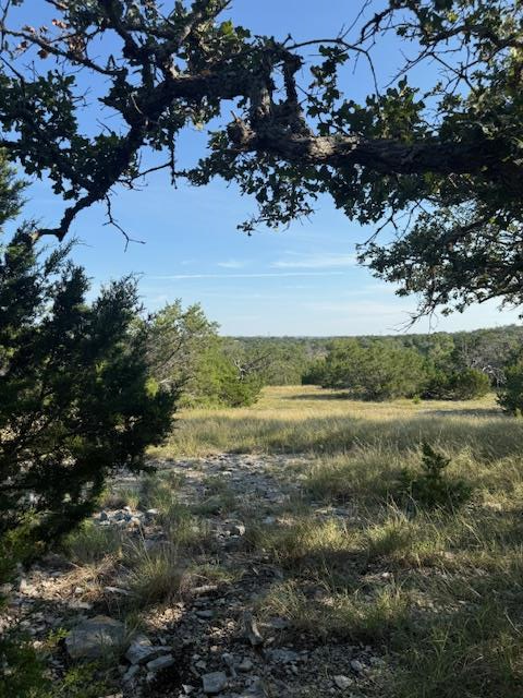 Property Photo:  Lot 75 Pinnacle Dr  TX 78624 