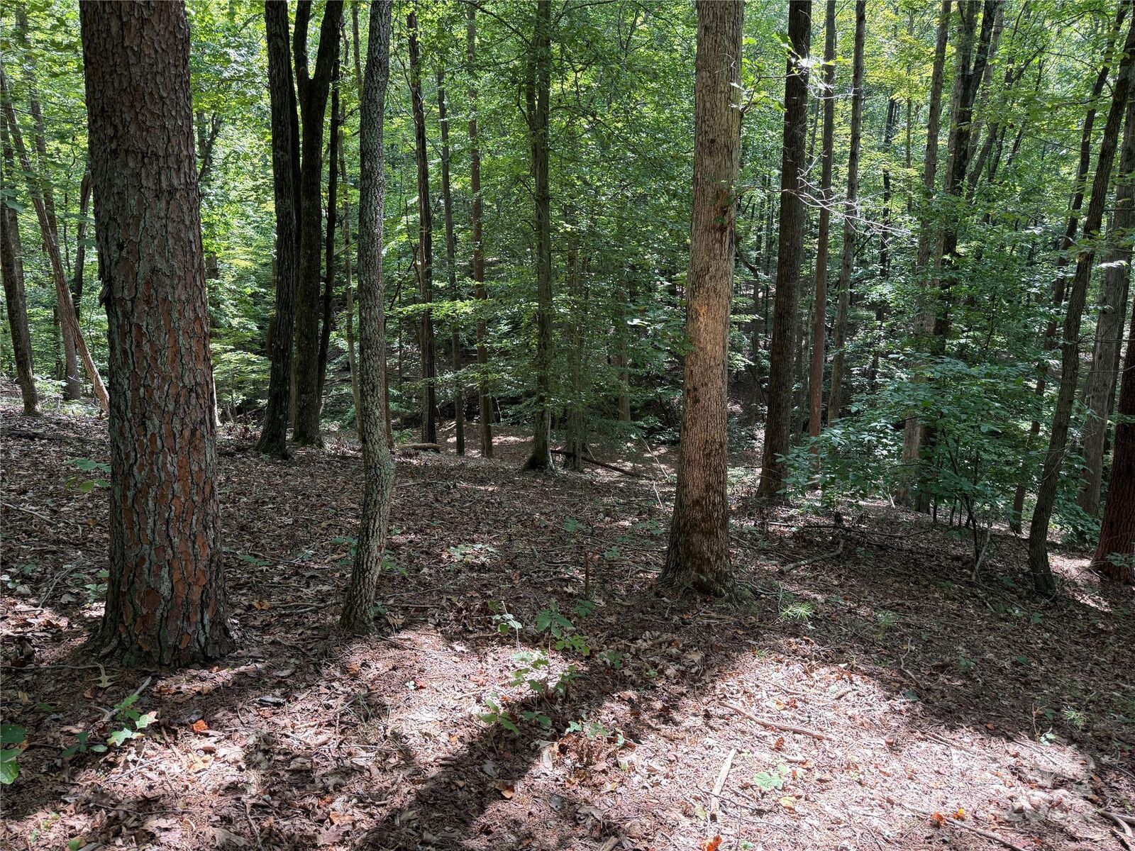 Property Photo:  0 Mountain Brook Trail 298  NC 28761 
