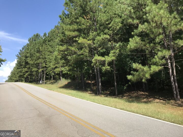 Property Photo: 0 Lot 203 Jamesway Drive GA 31087