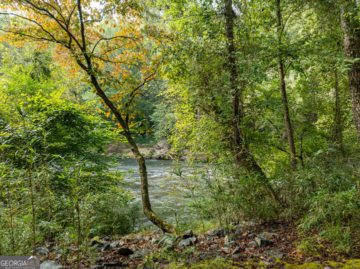 Property Photo:  54 First Street  GA 30540 