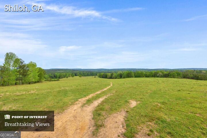 Property Photo:  2450 Chestnut Grove Road 2  GA 31826 