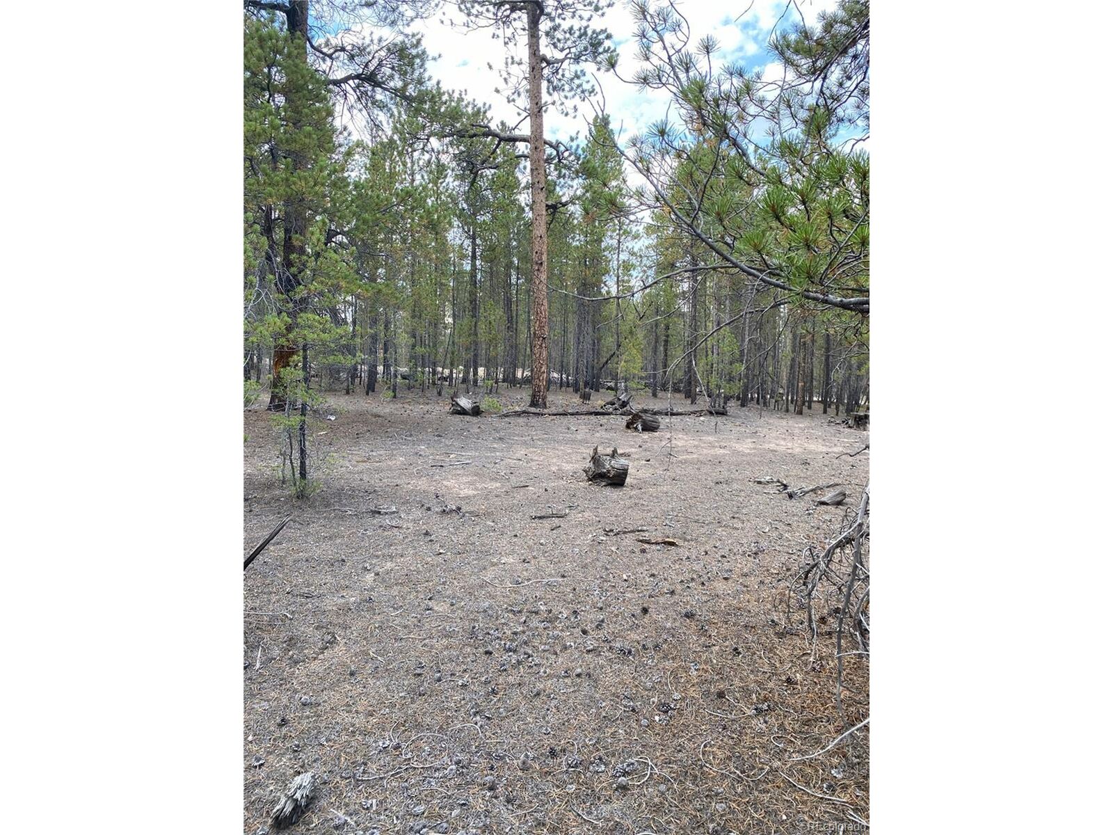 Property Photo:  340 Peak View Dr  CO 80461 